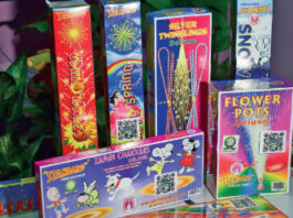Supreme Court Hints at Allowing Green Crackers in Delhi-NCR on Trial for Diwali 2025